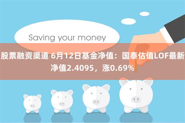 股票融资渠道 6月12日基金净值：国泰估值LOF最新净值2.4095，涨0.69%