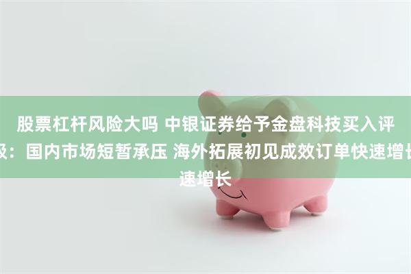 股票杠杆风险大吗 中银证券给予金盘科技买入评级：国内市场短暂承压 海外拓展初见成效订单快速增长