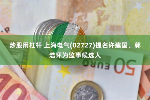 炒股用杠杆 上海电气(02727)提名许建国、郭浩环为监事候选人