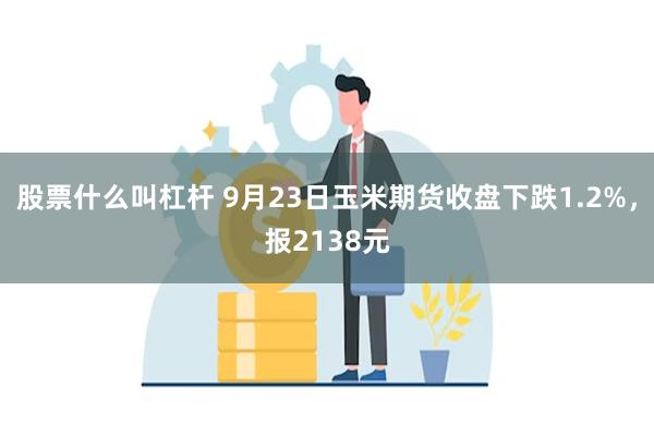 股票什么叫杠杆 9月23日玉米期货收盘下跌1.2%，报2138元