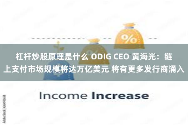 杠杆炒股原理是什么 ODIG CEO 黄海光：链上支付市场规模将达万亿美元 将有更多发行商涌入