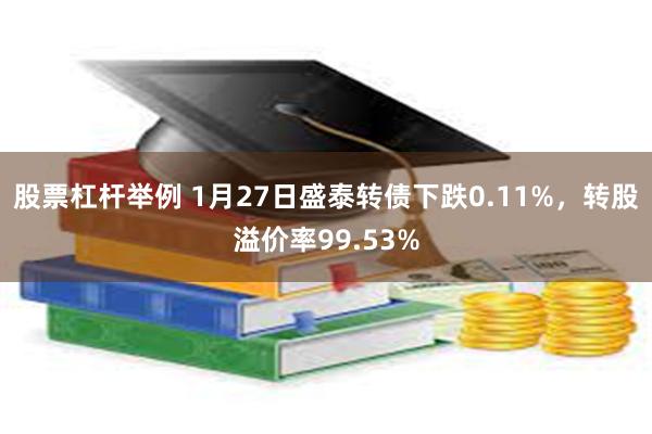 股票杠杆举例 1月27日盛泰转债下跌0.11%，转股溢价率99.53%