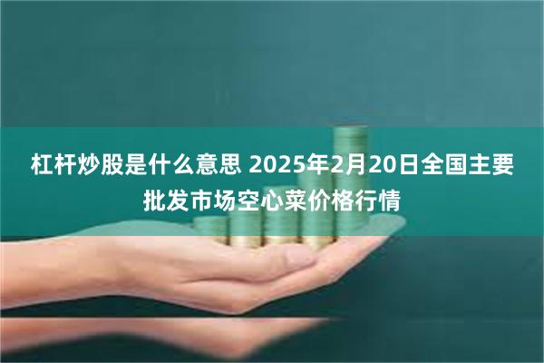 杠杆炒股是什么意思 2025年2月20日全国主要批发市场空心菜价格行情